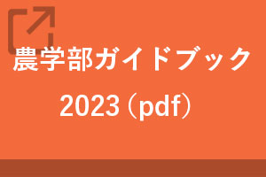 資料ダウンロード
